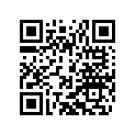 58302050000 Choke Lever Domino '93