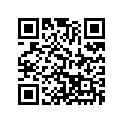 58305080500 Silencer 