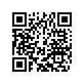 58401132100 Bot.triple Clamp Cpl. Sm    03