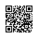 58411066444 LOCK SYSTEM               06