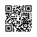 58412041000 MIRROR R/S                  98