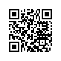 58431023142 MAIN JET 142,5