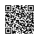 58733-11DFR OUTER FAIRING (CHARCOAL SLATE / BLACK TW