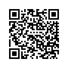 58900077ECE FF,BLKHILLSGLDBLKQUR