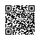 58900116EAV FENDER (CHARCOAL SLATE AND CARBON DUST)