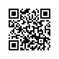 59035041044 FAN CPL. RACING           2001