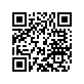 59039031300 Cdi-box 525 Sx              04