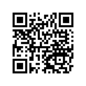 59266Y005 JOINT-BALL