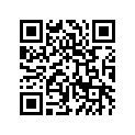 594773709HN Bucket-reverse, G.gray