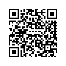 59500087DAA FENDERASY,RRHDI,RUBYR