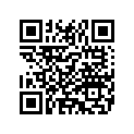5954287 FENDERSUPPORT,RTCHROM
