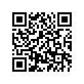 5CG-16620-00-00 Муфта Сцепления