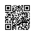 5FC-24331-00-00 ﾊﾟｲﾌﾟ,ﾚﾍﾞﾙ