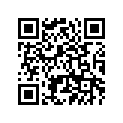 5FL-22199-00-00 Support, Chain