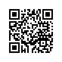 5JX-11638-00-00 Поршень
