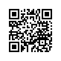 5KD-11635-00-00 Поршень