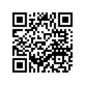 5SJ-82511-19-00 Blank Key