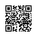 5T0-11636-00-00 Поршень