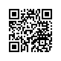 5VN-83368-00-00 Stay, Flasher 1