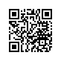 5XD-23170-P0-00 Цилиндр, передняя вилка