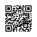 5XM-12111-00-00 バルブ，インテ−ク