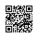 5YP-E4411-01-00 