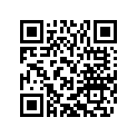 60036035260 SHIM D=10/2,60              03