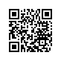 60036037000 Washer 14/30/2              03