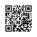 60036074050 Balance Weight              03