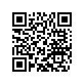 60036078050 SHIM 10,2X19X1,5MM          05