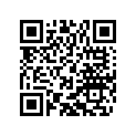 60038061050 SHIM 10,5X13,8X0,6