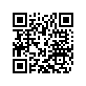 60104043000 PLUG                        06