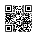 6010701900033 STOR.BOX CENT.PART BLACK    09
