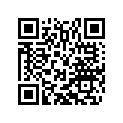 60111066044 LOCK SYSTEM 990 ADV.        09