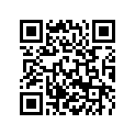 60309173100 RIM BAND 19