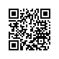 60309177000 GASKET RUBBER 2.5X21