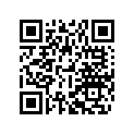 6030927010030A RIM 3X19 TUBLESS BLACK