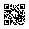 60310173200 RIM BAND 17