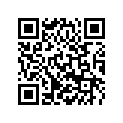 60311066244 LOCK SYSTEM