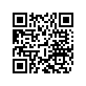6031200900030 HAND GRIP R/S