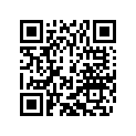 60312040000 MIRROR