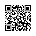 60312040100 MIRROR