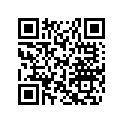 605148824 L.h. Support