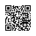 605248448 L.h. Support