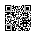 605250274 Support Guidon *support Handle