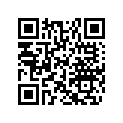 605250669 R.h. Footrest Reinforcem.