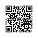 605253304 Console