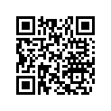 605253489 Console