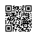 605253593 Carpet