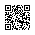 605255107 Handle Support